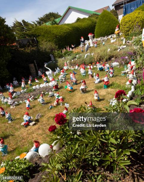 garden full of garden gnomes, port stanley, falkland islands - gnome collection stock pictures, royalty-free photos & images