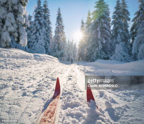 skilanglauf in oslo, norwegen - cross country skis stock-fotos und bilder