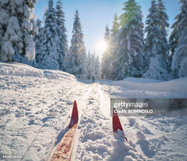 cross-country skiing in oslo, norway - 越野滑雪 個照片及圖片檔