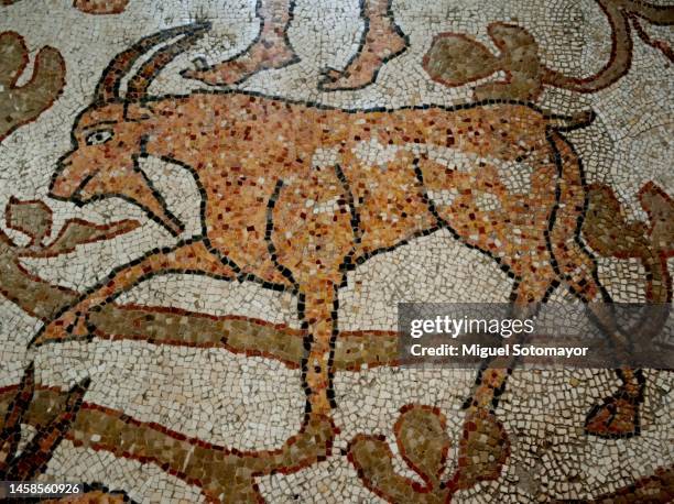 cathedral of otranto - otranto cathedral italy stock pictures, royalty-free photos & images