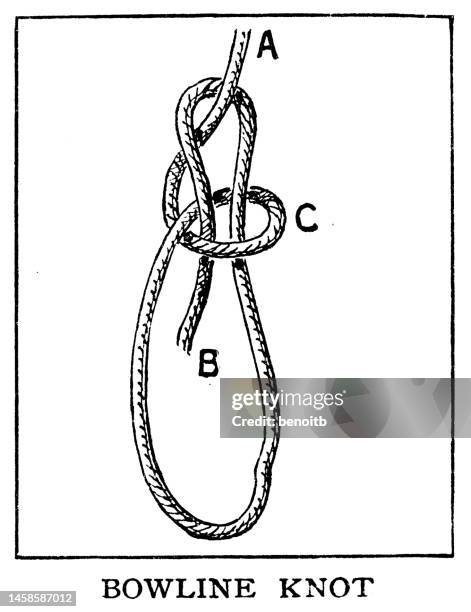 bowline knot - tied knot stock illustrations