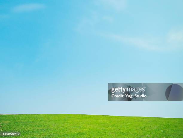 lawn and the sky - 青空 ストックフォトと画像