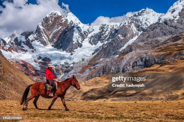 jeune touriste femelle conduisant un cheval dans les andes péruviennes, amérique du sud - peruvian photos et images de collection