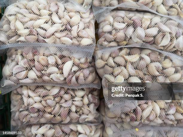 Garlic Netted 2,927 Dried Garlic Stock Photos, High-Res Pictures, and Images - Getty ...