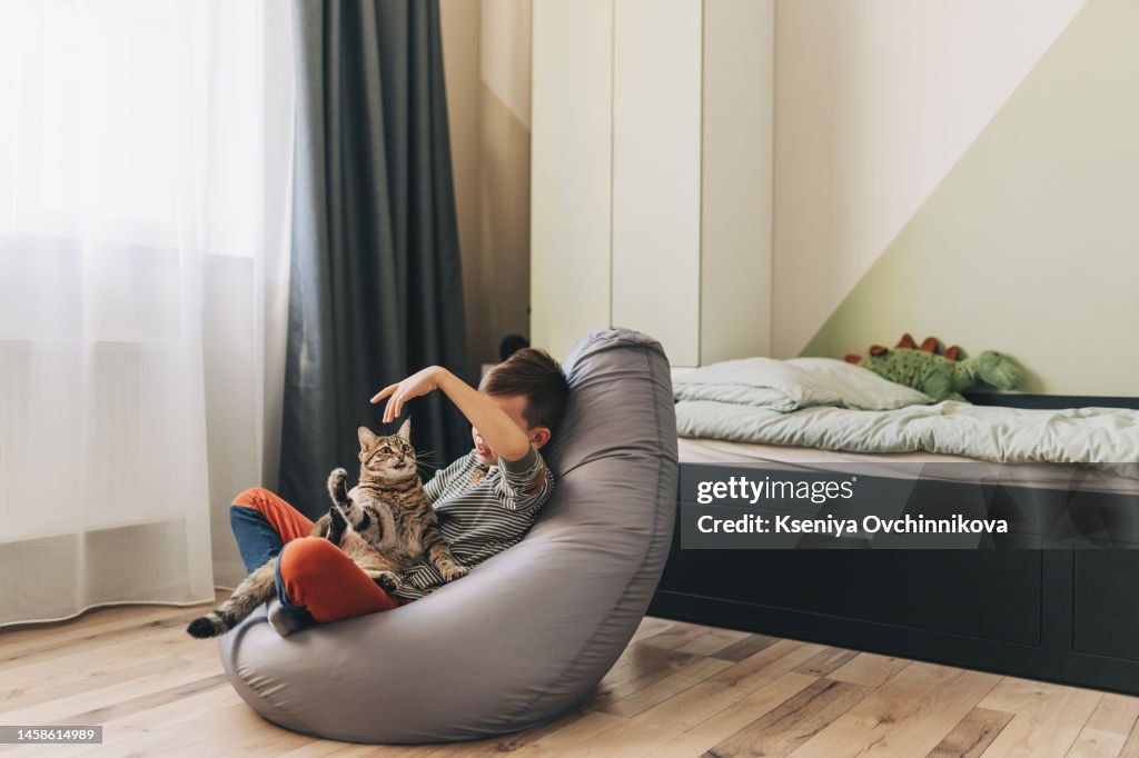 Cute boy playing with kitten sitting on the windowsill near the window. Cozy home with decorative Christmas trees. sweet home. Winter holidays lifestyle. Family lifestyle concept.