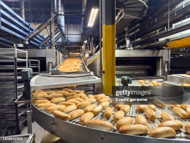 bread factory - bread production line stock pictures, royalty-free photos & images