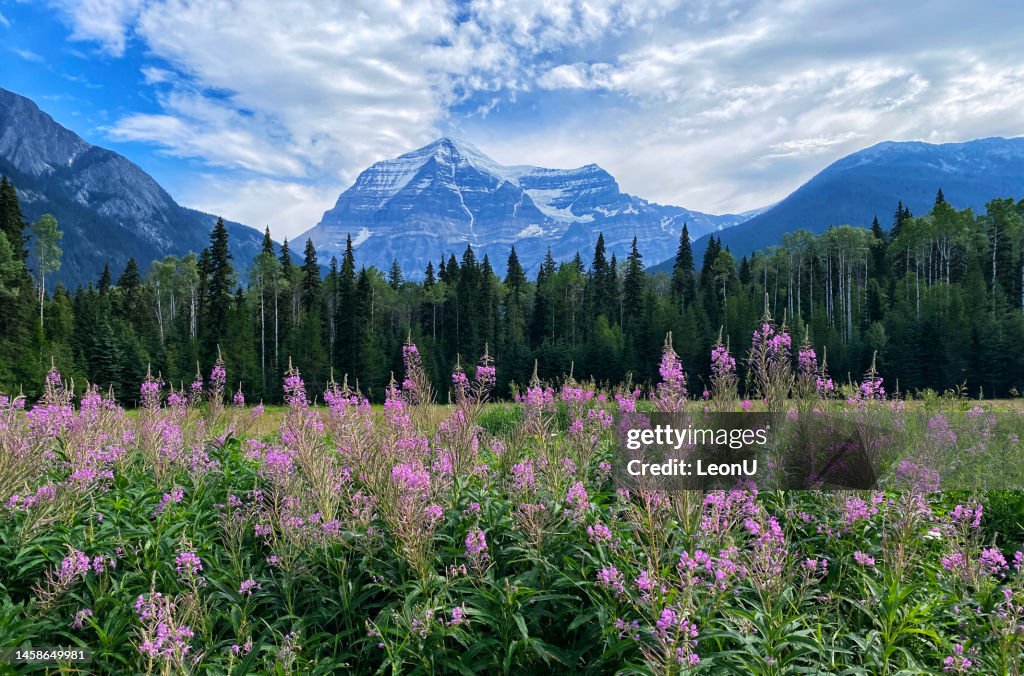 Mount Robson Provincial Park, BC, Canada