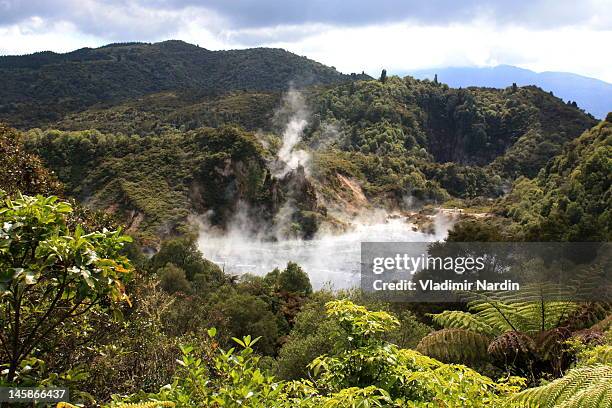 echo crater in waimangu - thermalquelle stock-fotos und bilder