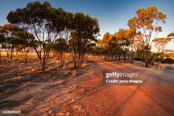 on the australian red road - western australia road stock pictures, royalty-free photos & images