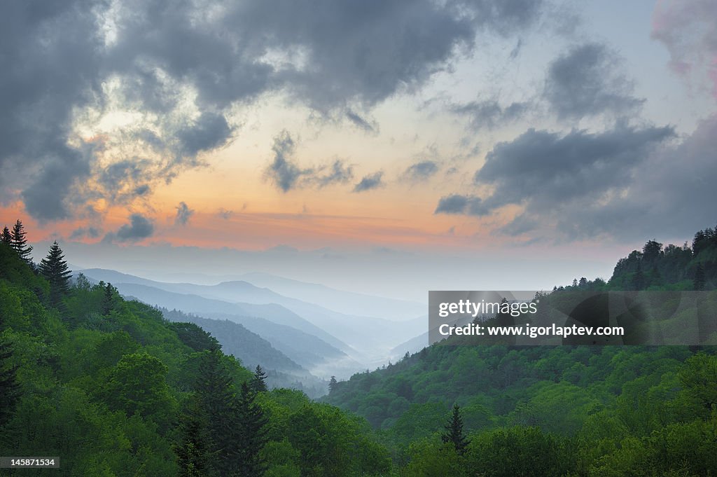 Smoky Mountains in May