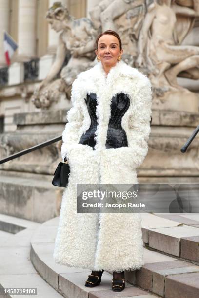 Philippine Leroy-Beaulieu attends the Schiaparelli Haute Couture Spring Summer 2023 show as part of Paris Fashion Week on January 23, 2023 in Paris,...