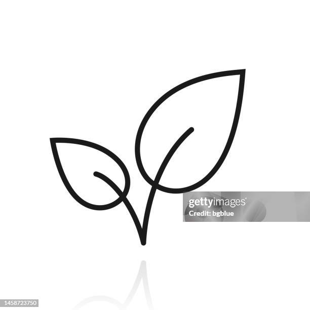 stockillustraties, clipart, cartoons en iconen met leaves. icon with reflection on white background - thee gewas