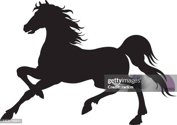 running horse black silhouette. vector illustration. - black horse jump stock illustrations