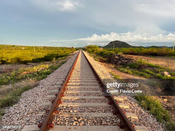transnortheastern railroad tracks - bahngleis stock-fotos und bilder