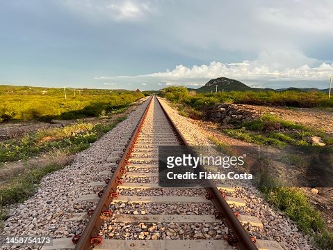 Transnortheastern railroad tracks