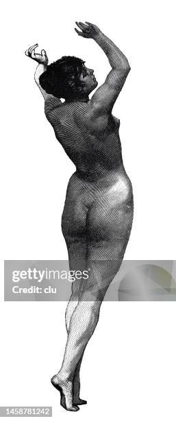 young pretty woman rear view, reaching up, white background - human limb stock illustrations
