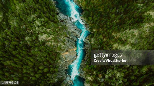 vista aerea panoramica del paesaggio montano con una foresta e il fiume cristallino nel parco nazionale jotunheimen - paesaggio foto e immagini stock