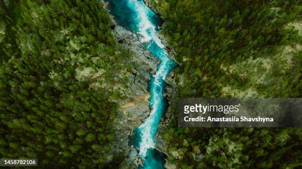 scenic aerial view of the mountain landscape with a forest and the crystal blue river in jotunheimen national park - luchtfoto stockfoto's en -beelden