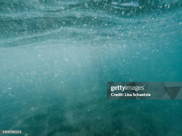 underwater view in the ocean - sous marin photos et images de collection