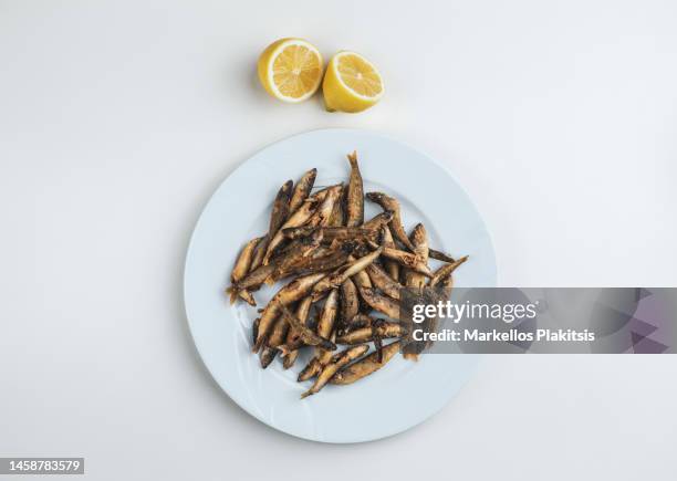 anchovy plate, greek tavern style - anchovy fotografías e imágenes de stock