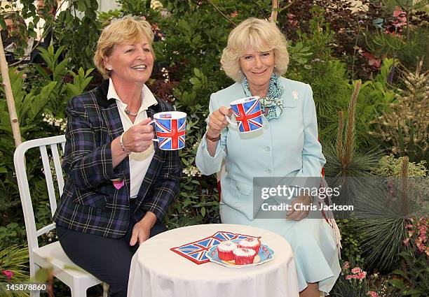 Camilla, Duchess of Cornwall drinks tea as she visits the Duchy Garden during a visit to the Royal Cornwall Show on June 7, 2012 in Wadebridge,...