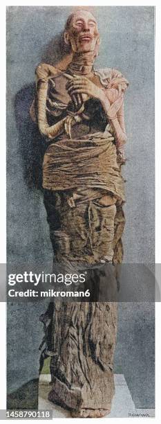 old engraved illustration of mummy of pharaoh ramses ii, who died of smallpox - mummified stock pictures, royalty-free photos & images