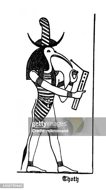 old engraved illustration of thoth, egyptian god of writing, magic, wisdom, and the moon - egyptian thoth stock-fotos und bilder