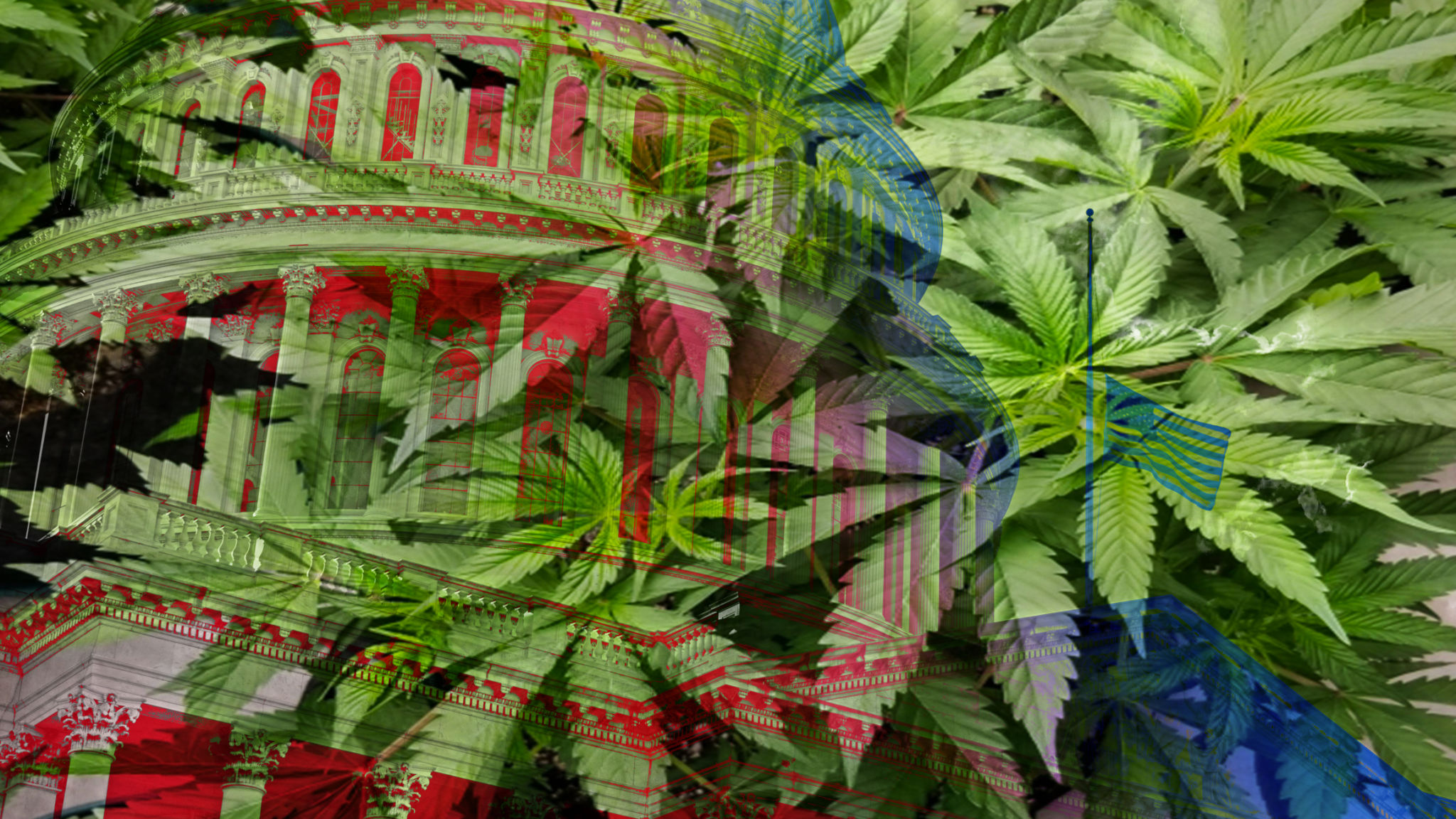 marijuana policy