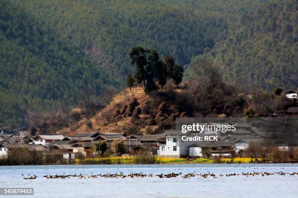 la shi hai village and lake - rck stock pictures, royalty-free photos & images
