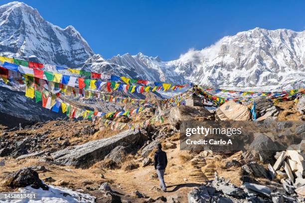 man hiking to annapurna base camp, nepal - basislager stock-fotos und bilder