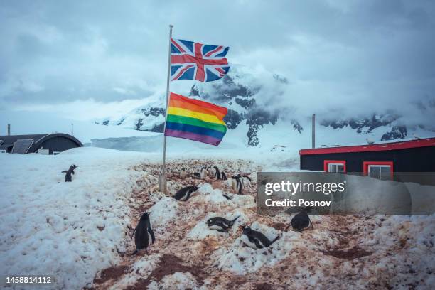 british and rainbow flag (lgbt) - rainbow flag stock pictures, royalty-free photos & images