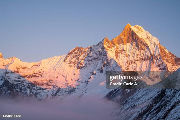 annapurna south at sunset - himalayas climbers stock pictures, royalty-free photos & images