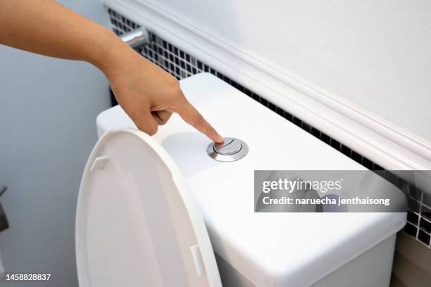hand flush toilet - toilet doortrekken stockfoto's en -beelden