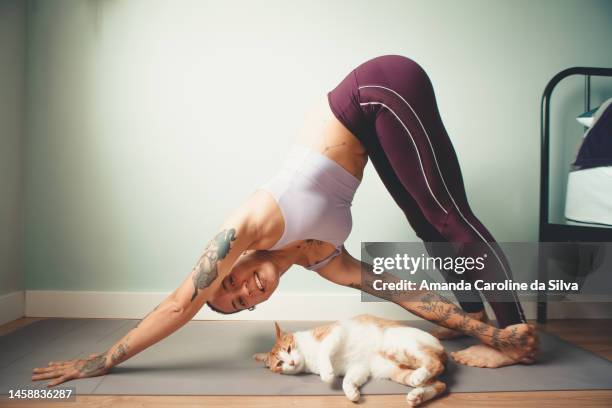 woman doing yoga at home next to her pet cat - animal sport stockfoto's en -beelden
