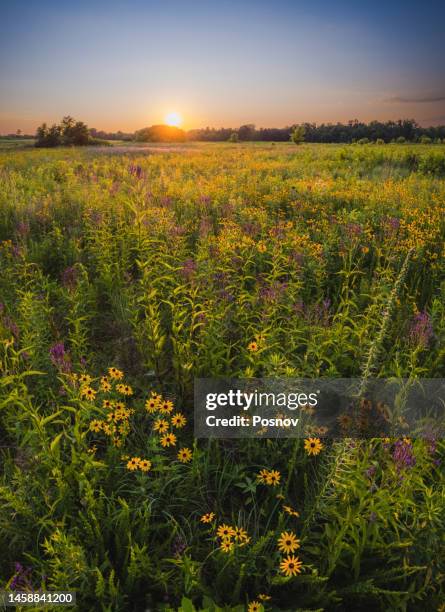 ohio prairie - ohio landscape stock pictures, royalty-free photos & images