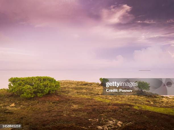 Grassy Key 61 Grassy Key Florida Stock Photos, High-Res Pictures, and Images ...
