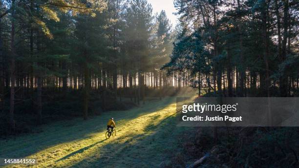 elevated/drone view of an adventure cyclist on his gravel bike in the forest on a cold but sunny winter's morning - europe winter ストックフォトと画像