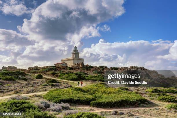 maritime lighthouse of capo testa - santa teresa gallura imagens e fotografias de stock