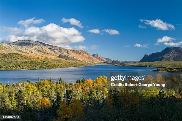 Newfoundland Color Rivers Trout River Newfoundland And Labrador Photos and Premium High Res ...