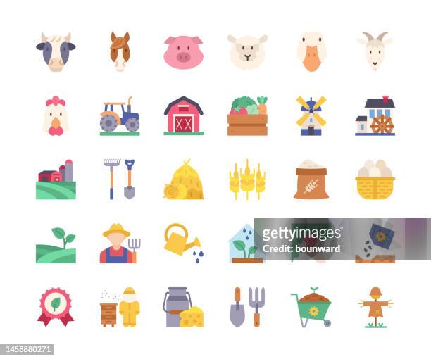 flache design-symbole für die landwirtschaft. - schweinefleisch stock-grafiken, -clipart, -cartoons und -symbole