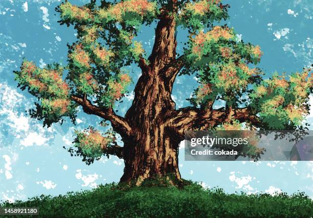 large tree - grass low angle stock illustrations