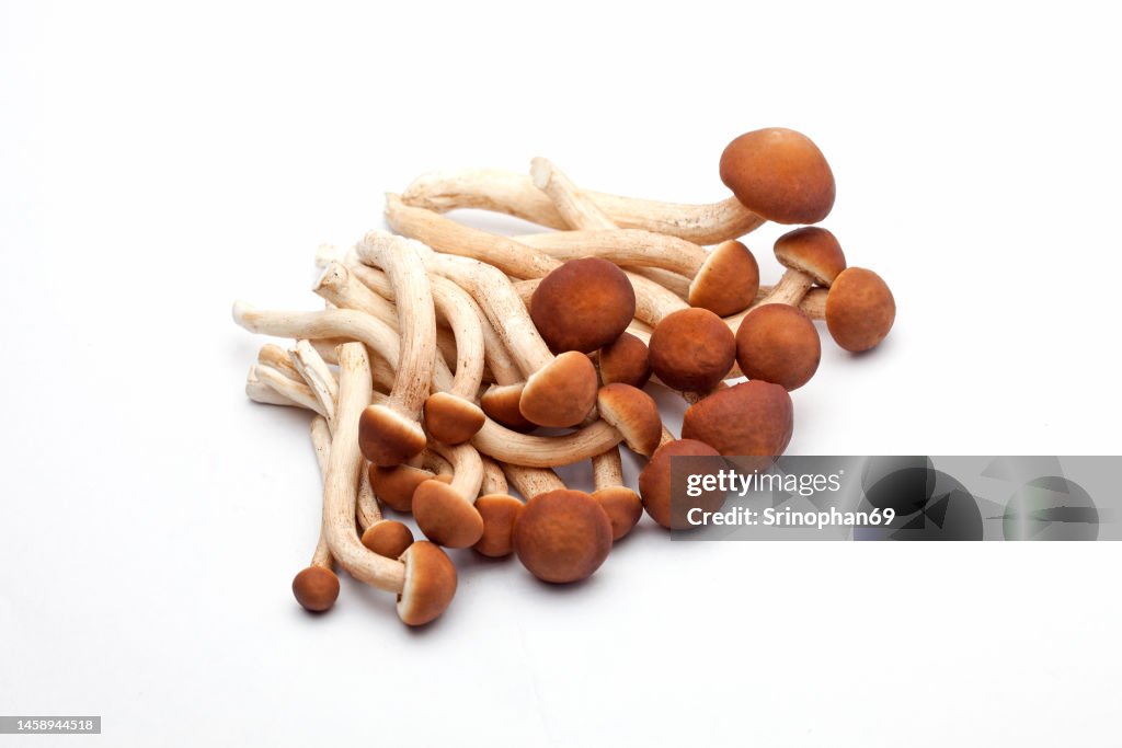 Shimeji mushrooms brown