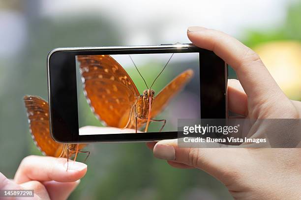 woman photographing a butterfly wit a smart phone - photographing wildlife stock pictures, royalty-free photos & images