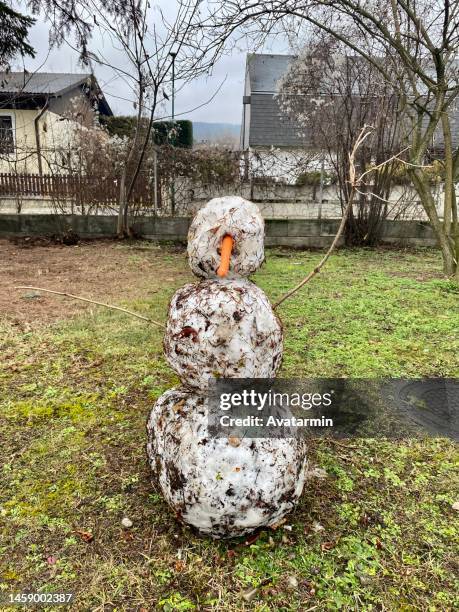 snowman - niederösterreich winter fotografías e imágenes de stock