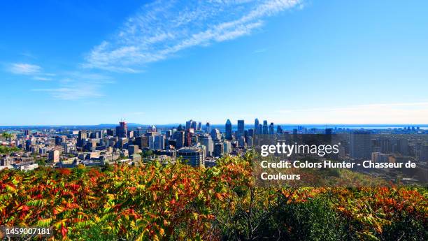 view of the city of montreal in autumn from mont royal and blue sky - montreal downtown stock pictures, royalty-free photos & images