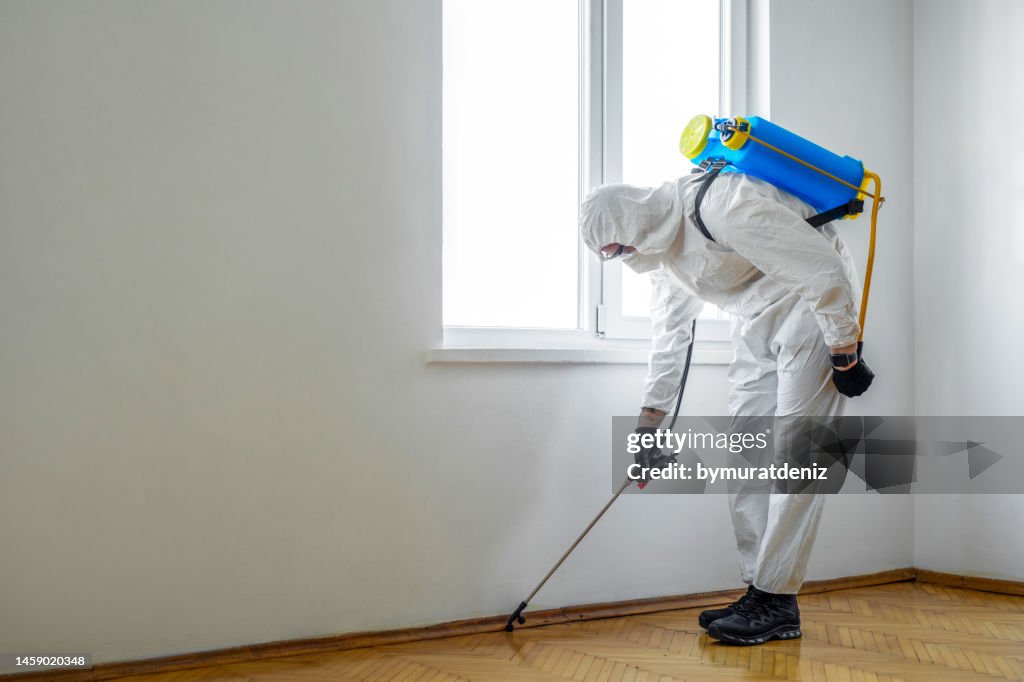 Exterminador en el trabajo rociando pesticidas o insecticidas con pulverizador