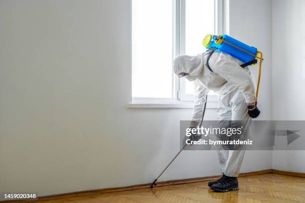 exterminator in work spraying pesticide or insecticide with sprayer - fumigatie stockfoto's en -beelden