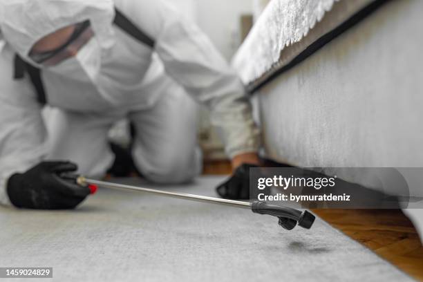 man in protective suit disinfecting and spraying every room in the building - pest control equipment stock pictures, royalty-free photos & images