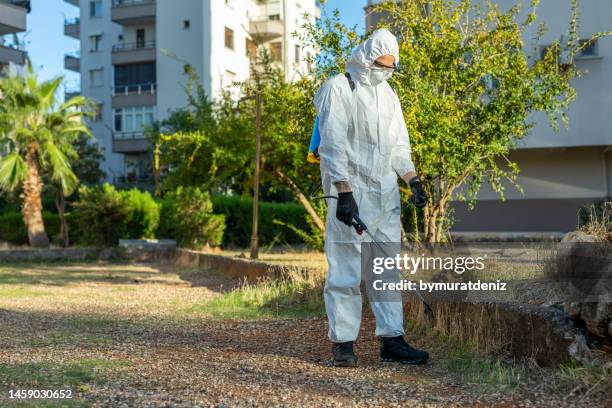 man spraying insecticide on grass in lawn - insecticide stock pictures, royalty-free photos & images