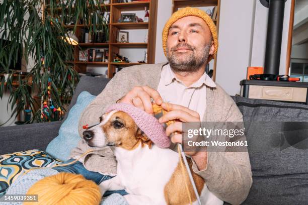 man with dog knitting on couch at home - huisman stockfoto's en -beelden